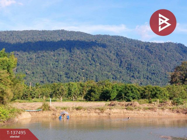 ขายที่ดิน เนื้อที่ 7 ไร่ 1 งาน 76 ตร.วา เขาคิชฌกูฏ จันทบุรี