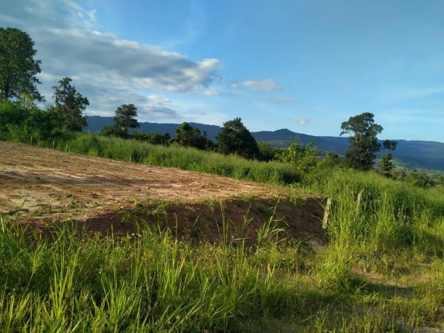 ที่ดินสวยใกล้ทางหลวงโฉนด อ.ภูเรือ 1 ไร่ ทาง 8 เลนผ่านใกล้ทางหลวง100กว่าเมตร กำลังเจริญไม่ไกลตัวอำภอเดินทาง10นาทีก็ถึง