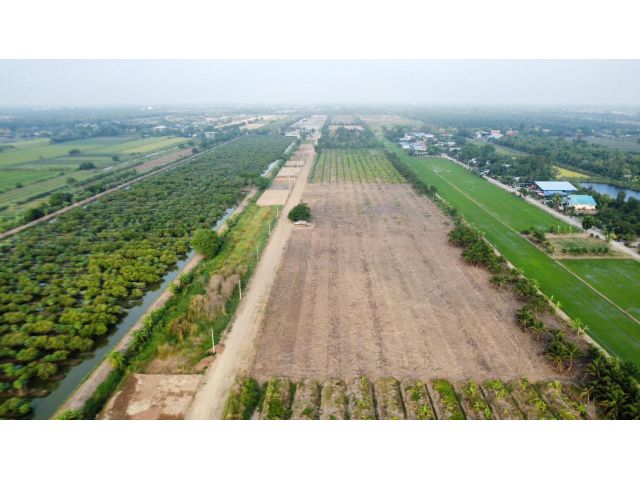 ขายที่ดิน 2 ไร่ ราคาดี ทำเลคลอง 11 หนองเสือ ปทุมธานี