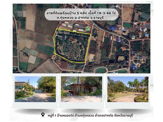 ขายที่ดินพร้อมบ้าน เนื้อที่ 19-3-66 ไร่ ต.ทุ่งหลวง อ.ปากท่อ ราชบุรี บรรยากาศดี