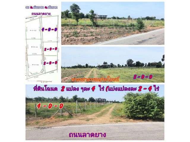 (โฉนด) ที่ดินแบ่ง 2-4 ไร่ๆละ 320,000 บ. (ใกล้ รพ.เนินขาม และ ที่ว่าการ อ.เนินขาม) เทศบาล ต.เนินขาม อ.เนินขาม จ.ชัยนาท