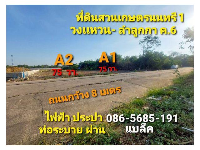 ขายที่ดิน 75 ตรว. ลำลูกกา คลอง 6 เกษตรนนทรี 1 ใกล้ทางด่วน ใกล้เขาดินแห่งใหม่ ปทุมธานี 086-5685-191