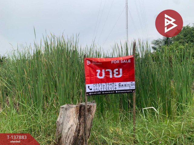 ขายที่ดิน เนื้อที่ 1 งาน 5.4 ตร.วา หนองจอก กรุงเทพมหานคร