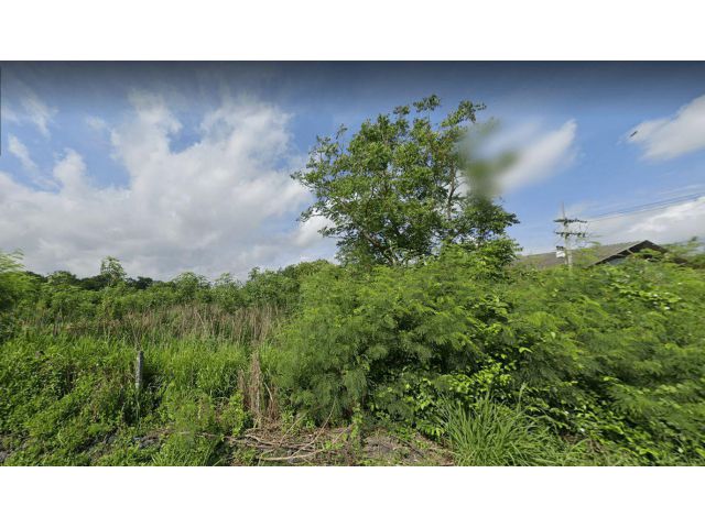 L060 ขายที่ดิน 18 ไร่ บ่อทอง ชลบุรี