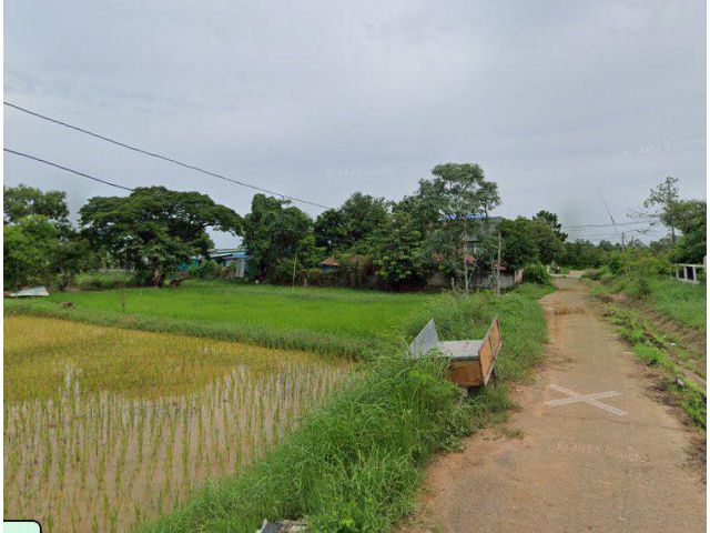 ขายที่ดินบ้านกุดกว้าง 6 ไร่ หลังบขส.3ขอนแก่น ใกล้ถนนเลี่ยงเมือง230-3กม. อ.เมืองขอนแก่น