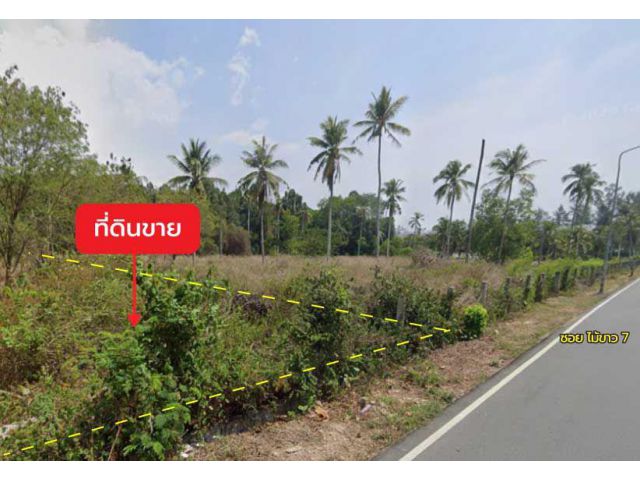 ขายที่ดิน 1 ไร่ 0 งาน 60.2 ตร.ว. ติด ซอยไม้ขาว 7 ใกล้ หาดไม้ขาว