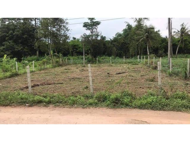 L217 ขายที่ดิน 90 ตรว บางละมุง ชลบุรี