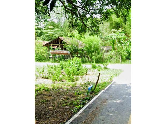 ที่ดินอยู่อาศัย แปลงสวย ราคาถูก อ.เวียงสา น่าน
