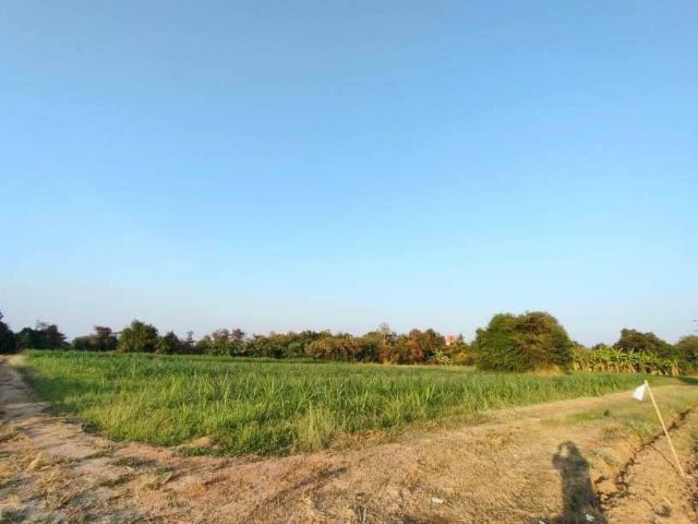 L286 ขายที่ดิน 6 ไร่ บ้านโป่ง ราชบุรี