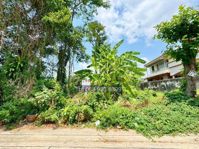 ขายที่ดิน 200 ตร.วา ซอย รามคำแหง 164 สุขาภิบาล 3 ใกล้ รถไฟฟ้า MRT สายสีส้ม ที่ดินน่าลงทุน หน้าซอย 12 มี 7-11