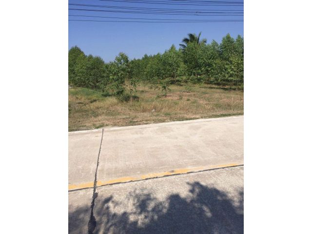 L300 ขายที่ดิน 4 ไร่ บ้านบึง ชลบุรี