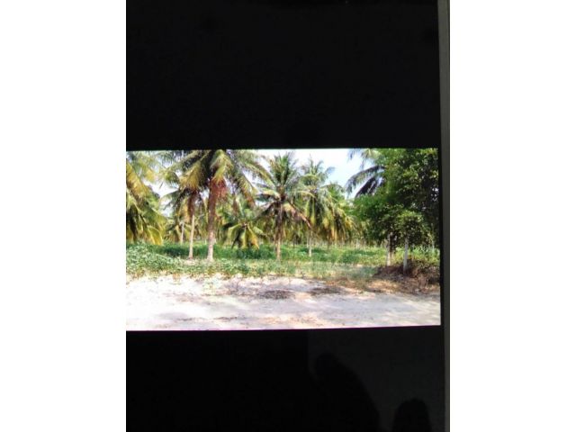 L303 ขายที่ดิน 26 ไร่ ศรีราชา ชลบุรี