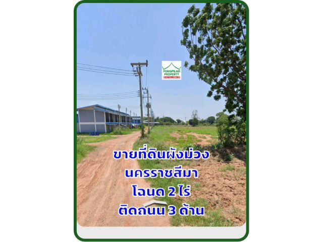 ขายที่ดินผังม่วง นครราชสีมา โฉนด 2 ไร่ ติดถนนและซอย 3 ด้าน