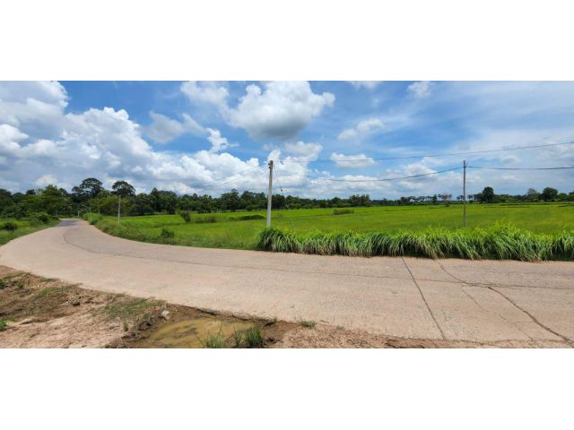 L309 ขายที่นา 8 ไร่ ประจันตคาม ปราจีนบุรี