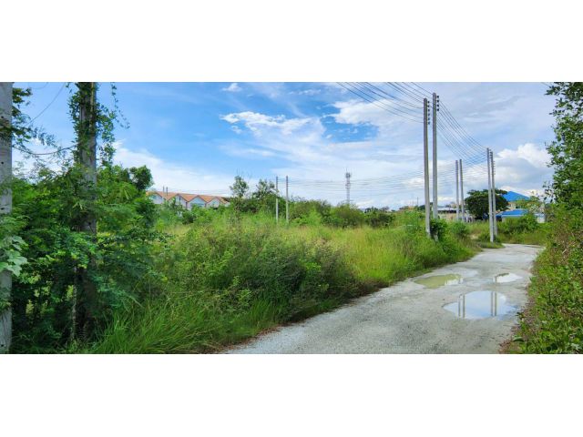 L323 ขายที่ดินถมแล้ว 203 ตรว ชลบุรี