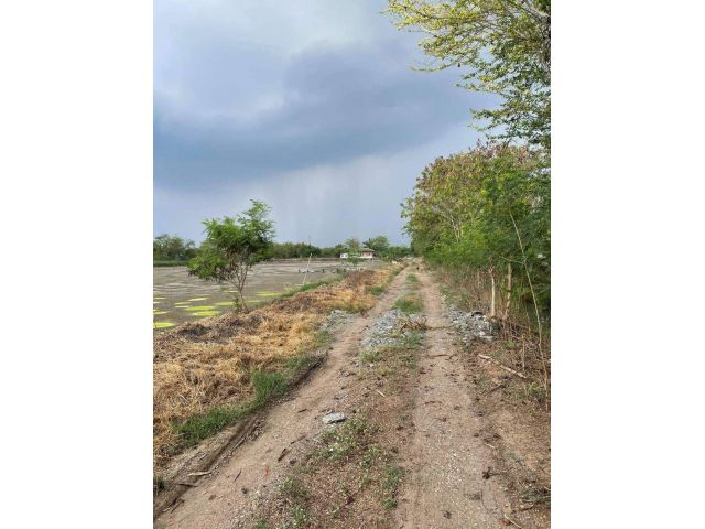 L338 ขายที่ดิน 40 ไร่ บ้านโพธิ์ ฉะเชิงเทรา