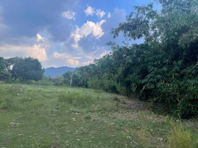 L361 ขายที่ดิน 9 ไร่ เมืองชลบุรี