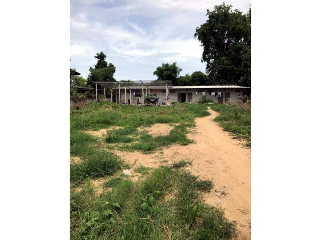 L373 ขายที่ดินพร้อมห้องแถว 2 ไร่ ท่ามะกา กาญจนบุรี