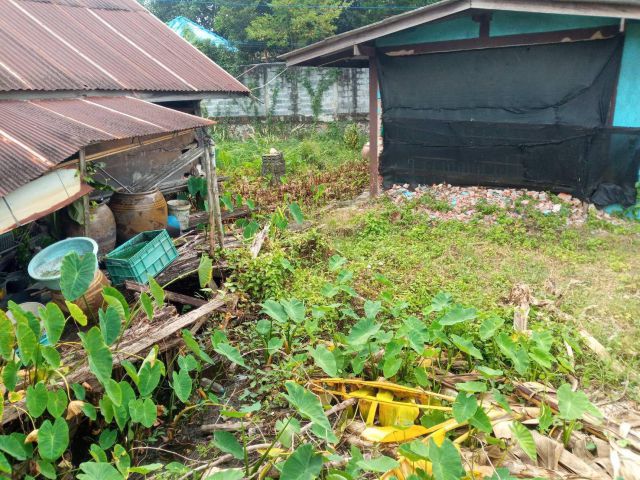L378 ขายบ้านชั้นเดียว 109 ตรว พานทอง ชลบุรี