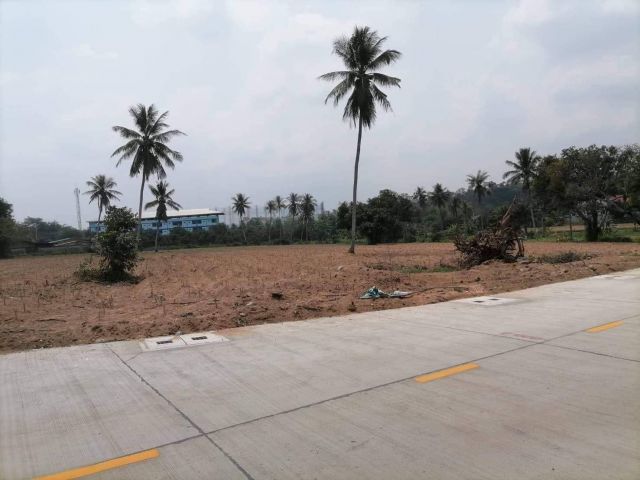 L383 ขายที่ดิน 11 ไร่ ศรีราชา ชลบุรี