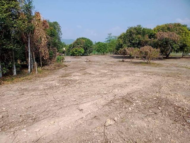 L387 ขายที่ดินวิวภูเขา  4 ไร่ เมืองนครนายก