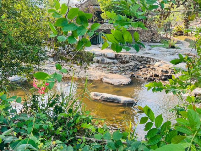 ขายที่ดินบ้านปางแฟนป่าเมี่ยงดอยสะเก็ตติดถนนหลักลกหลังติดน้ำโฉนด