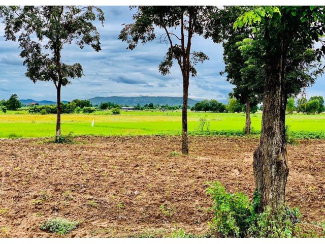 ที่ดินสวนเกษตร