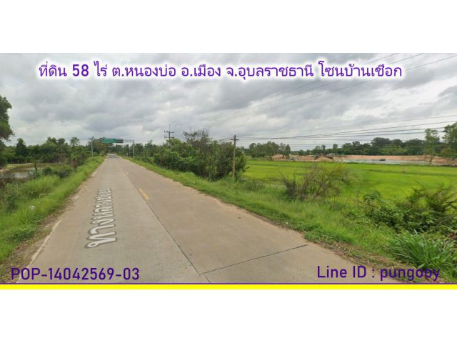 POP-14042569-03 ที่ดิน 58 ไร่ ต.หนองบ่อ อ.เมือง จ.อุบลราชธานี โซนบ้านเชือก