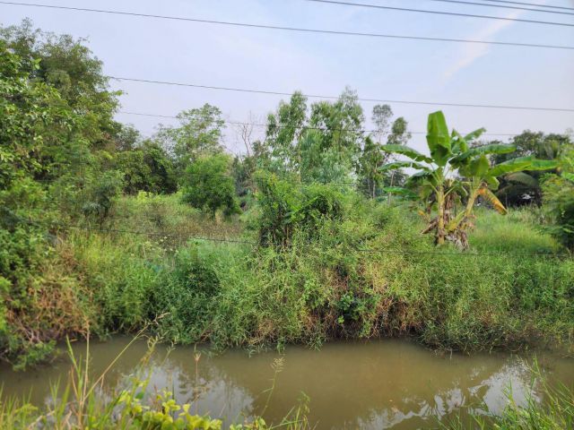 L148 ขายที่ดิน 30 ไร่ ใกล้ตัวอำเภอหนองแค วิหารแดง สระบุรี