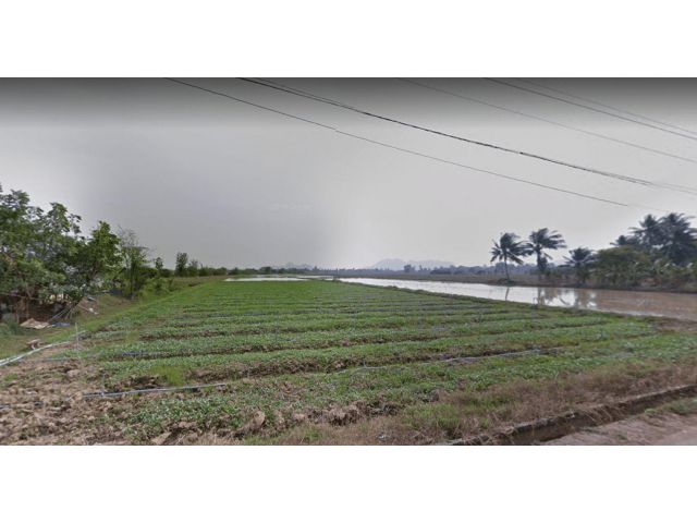 L398 ขายที่ดิน 11 ไร่ ปากท่อ ราชบุรี