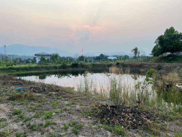 ขายที่ดิน 3 ไร่ บ้านหนองปลามัน ต.ห้วยทราย อ.แม่ริม จ.เชียงใหม่