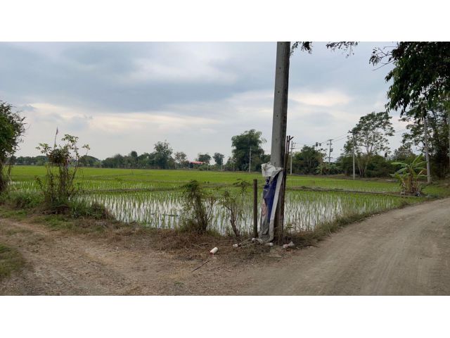 ขายที่ดิน 12 ไร่ บ้านป่าติ้ว ต.สันโป่ง อ.แม่ริม จ.เชียงใหม่