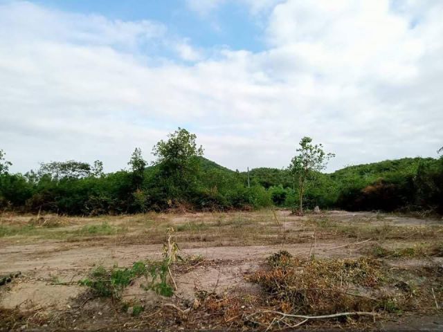 L436 ขายที่ดิน 2 ล็อกๆละ 102 ตรว เมืองราชบุรี