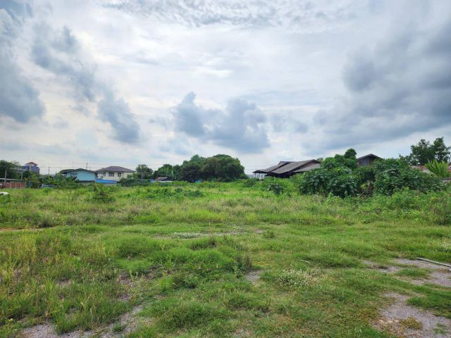 L440 ที่ดินแบ่งขาย 4 ล็อก เมืองราชบุรี