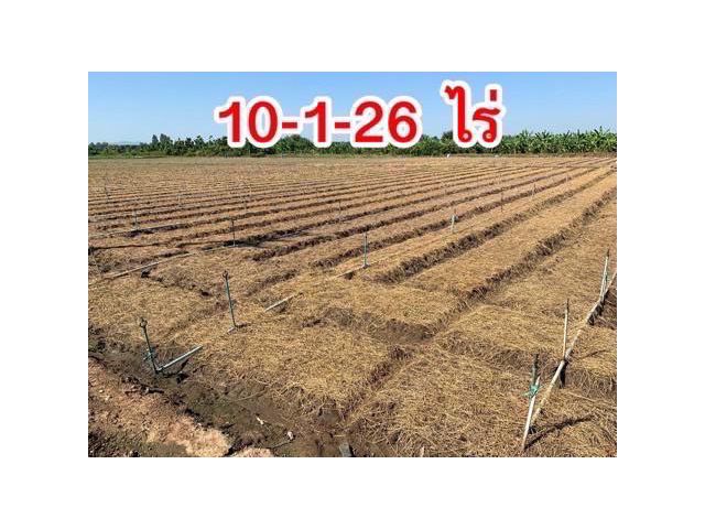 ที่ดินผืนใหญ่ทำเลดี10ไร่ โฉนดครุฑแดงพร้อมโอน ใกล้เทศบาลวังศาลา ท่าม่วง เข้าออกได้หลายทาง ติดถนนสาธารณะ ใกล้ทางด่วนM81 วิวสวย บรรยากาศดี