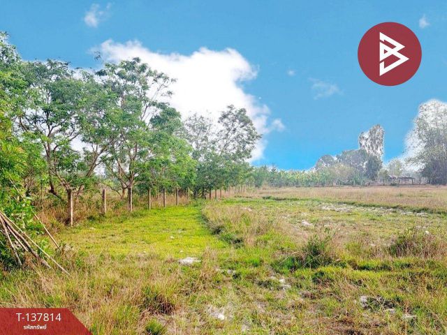 ขายที่ดิน เนื้อที่ 3 ไร่ 3 งาน 77.5 ตร.วา สระใคร หนองคาย