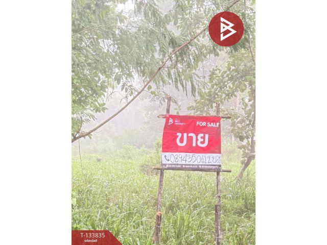 ขายที่ดิน เนื้อที่ 1 งาน 38.7 ตารางวา หนองแหย่ง สันทราย เชียงใหม่