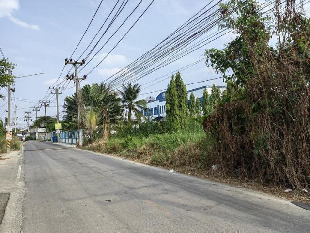 ขาย/เช่าที่ดิน 8 ไร่ ในซอยคลองสาม 2/1 ถนนรังสิต-นครนายก คลอง3 ปทุมธานี  ที่ดินอยู่ในแหล่งชุมชน เหมาะสร้างที่พักอาศัย