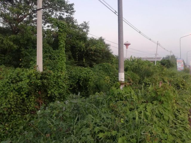 L446 ขายที่ดิน 3 ไร่ ติดถนนเพชรเกษม เมืองราชบุรี