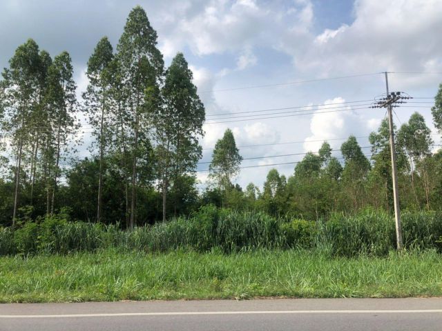 L485 ขายที่ดินสวยทำเลดี 139 ไร่ หน้ากว้าง 362 เมตร เมืองราชบุรี
