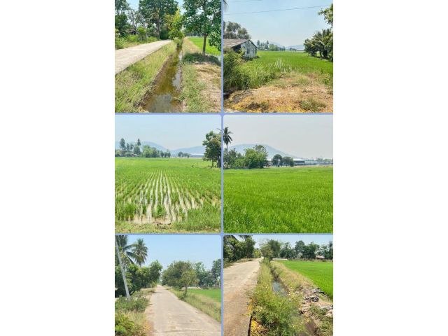 ที่ดินติดถนน น้ำไฟพร้อม วิวเขนา