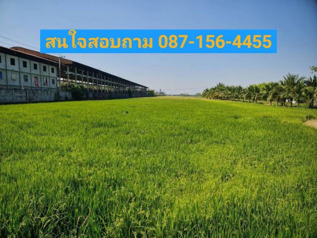ที่คลอง 8 ที่ดินติดถนน ถนนติดคลอง