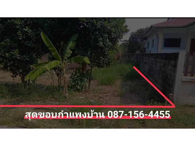 ที่ดินในหมู่บ้านชาวฟ้า พิษณุโลก