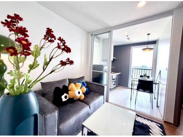 เช่าด่วน คอนโด เดอะ เบส สุขุมวิท 77 (The Base Sukhumvit 77) ใกล้ BTS อ่อนนุช ขนาด 30 ตารางเมตร ชั้น 24 ตึก B แขวงพระโขนง