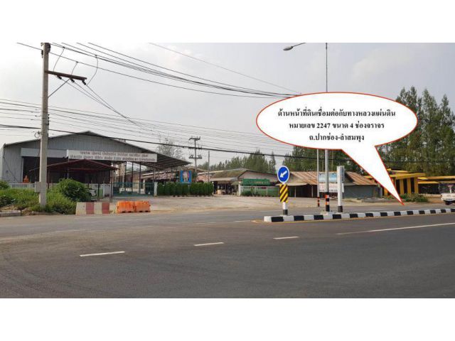 ขายที่ดิน 11 ไร่ ถนนปากช่อง-ลำสมพุง อ.ปากช่อง นครราชสีมา