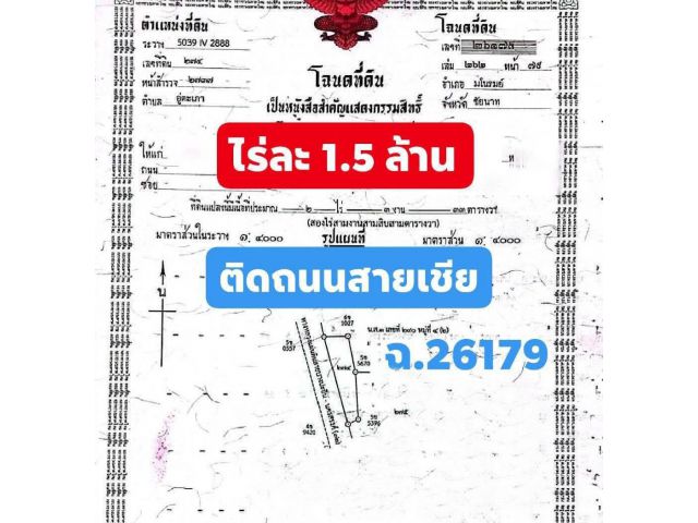 ขายที่ดินติดถนนสายเอเชีย หน้ากว้าง 158 เมตร 2 ไร่ 3 งาน 33 ตารางวา