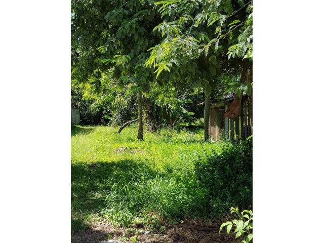 L497 ขายที่ดิน 2 ไร่ บ้านบึง(เมือง) ชลบุรี