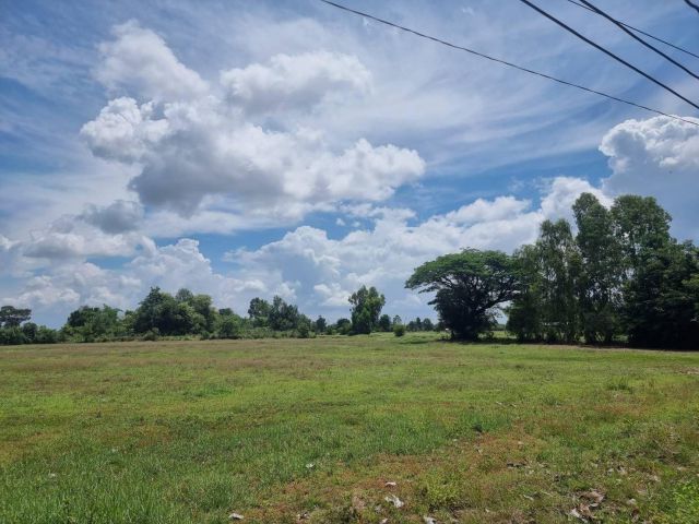 L504 ขายที่ดิน 5 ไร่ เมืองศรีสะเกษ