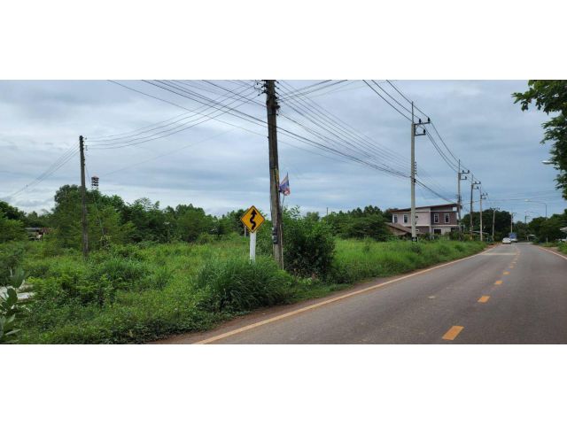 L537 ขายที่ดิน 8 ไร่ หน้ากว้าง 139 เมตร ใกล้นิคมฯโรจนะ ศรีมหาโพธิ ปราจีนบุรี