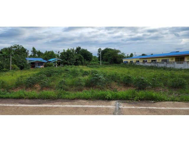 L540 ขายที่ดิน 315 ใกล้นิคมโรจนะ ศรีมหาโพธิ ปราจีนบุรี